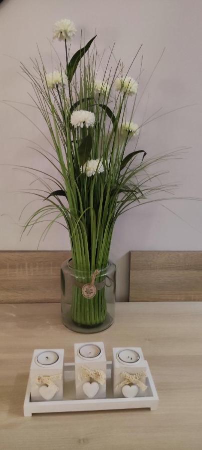 Apartman Sunset Milmari Kopaonik M10 מראה חיצוני תמונה